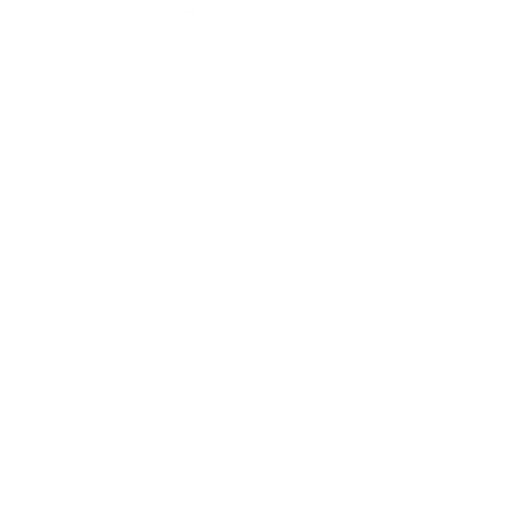 dexcat-logo